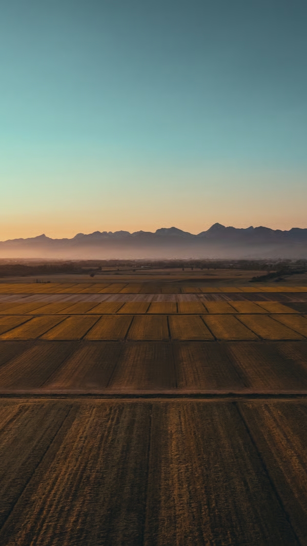 Dummy photo from lorem ipsum