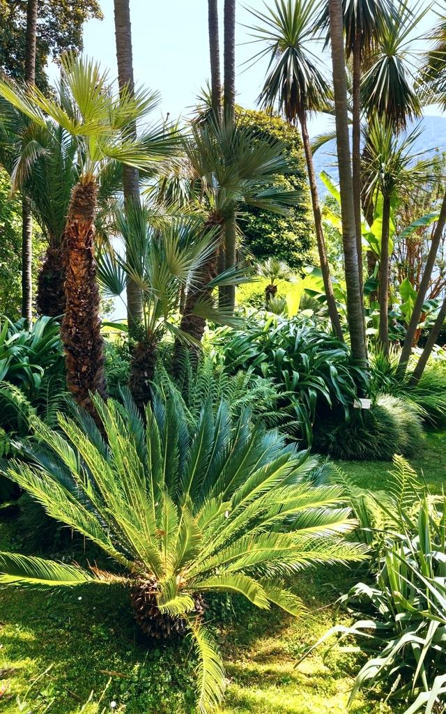 Landscaping Solutions_image